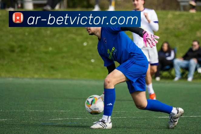 betvictor伟德官网发展历程